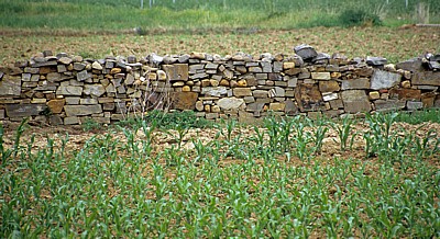 Jakobsweg (Camino Francés): Steinmauer - Castilla y León