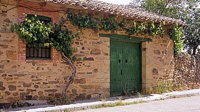 Jakobsweg (Camino Francés): Traditionelles Haus mit Holztür und rankendem Wein - El Ganso