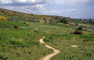 Jakobsweg (Camino Francés): Puerto de Foncebadón - Landschaft - Castilla y León