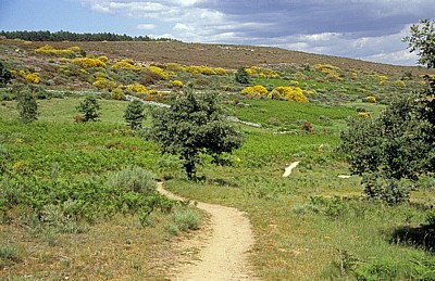 Jakobsweg (Camino Francés): Puerto de Foncebadón - Landschaft - Castilla y León