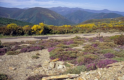 Jakobsweg (Camino Francés): Heidelandschaft - Castilla y León