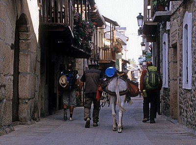 Jakobsweg (Camino Francés): Pilger mit Esel - Molinaseca