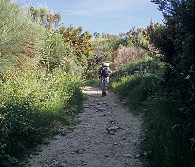 Jakobsweg (Camino Francés): Pilger auf dem Weg nach O Cebreiro - Castilla y León