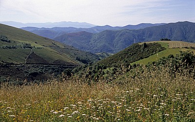 Jakobsweg (Camino Francés): Ausblick auf dem Weg nach O Cebreiro - Castilla y León