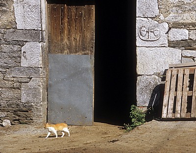 Jakobsweg (Camino Francés): Katze auf einem Bauernhof - Castilla y León