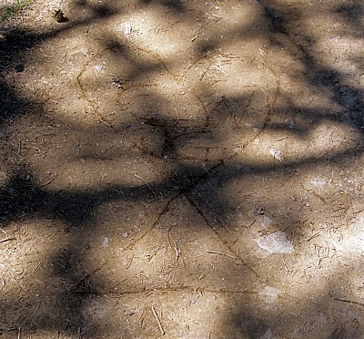 Jakobsweg (Camino Francés): Botschaft auf dem Weg - O Cebreiro