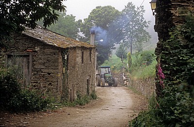 Jakobsweg (Camino Francés): Gegenverkehr (Traktor) - As Pasantes