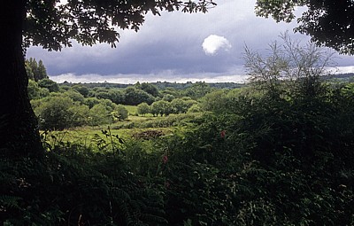 Jakobsweg (Camino Francés): Sierra de Ligonde - Ligonde