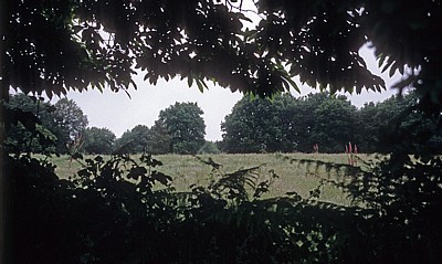 Jakobsweg (Camino Francés): Landschaft - Galicia