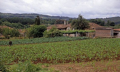 Jakobsweg (Camino Francés): Farmhaus - Pontecampaña
