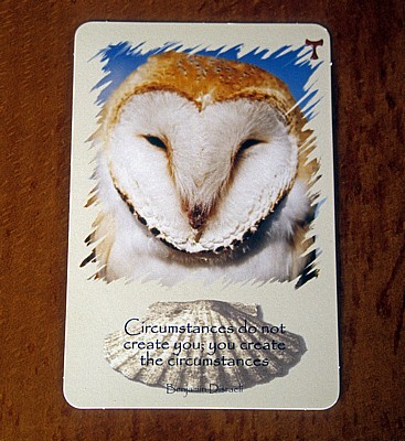 Jakobsweg (Camino Francés): Camino-Meditationskarte - Salceda