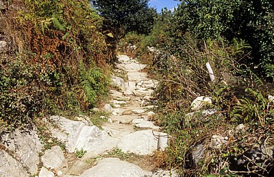 Jakobsweg (Caminho Português): Alter Steinpfad - Pontevedra