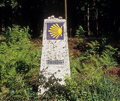 Jakobsweg (Caminho Português): Camino-Wegstein - Bértola