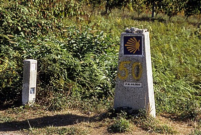 Jakobsweg (Caminho Português): Zwischen San Mauro und Tivo - Camino-Wegstein  - Galicia