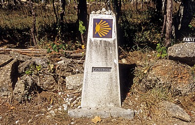 Jakobsweg (Caminho Português): Zwischen Tivo und Caldas de Reis - Camino-Wegstein  - Galicia