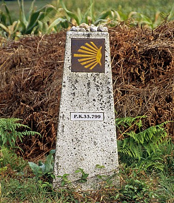 Jakobsweg (Caminho Português): Auf dem Weg nach Valga - Camino-Wegstein  - Galicia