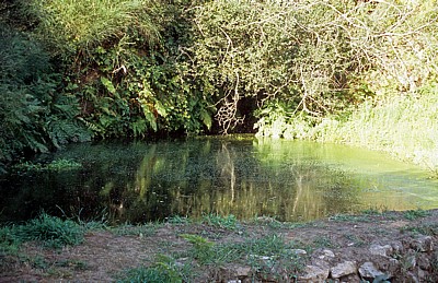 Jakobsweg (Caminho Português): Auf dem Weg nach Valga – Kleiner Teich - Galicia