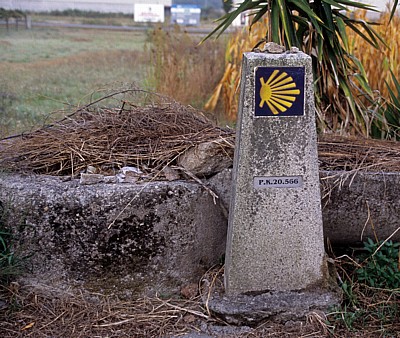 Jakobsweg (Caminho Português): Auf dem Weg nach A Escravitude - Camino-Wegstein - Galicia