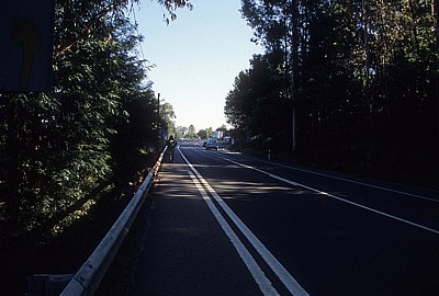 Jakobsweg (Caminho Português): Pilger an der N 550 - A Picaraña