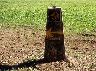 Jakobsweg (Caminho Português): Auf dem Weg nach Milladoíro - Camino-Wegstein - Galicia