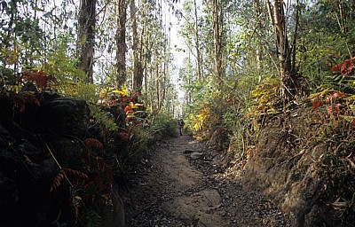 Jakobsweg (Camino a Fisterra): Pilger auf dem Weg nach Finisterre - Galicia