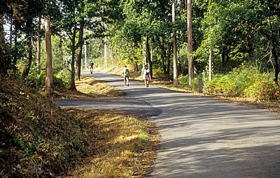 Jakobsweg (Camino a Fisterra): Pilger auf dem Weg nach Finisterre - Galicia