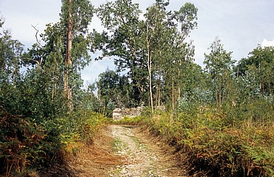 Jakobsweg (Camino a Fisterra): Landschaft - Galicia