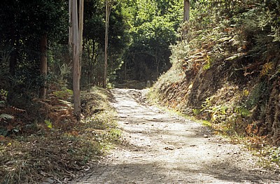 Jakobsweg (Camino a Fisterra): Zwischen Auguapesada und Carballo - Galicia