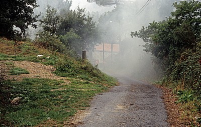 Jakobsweg (Camino a Fisterra): Auf dem Weg von Negreira nach Camiño Real – Nebel und Regen - Galicia