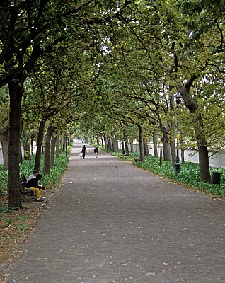 Company's Garden: Government Avenue - Kapstadt