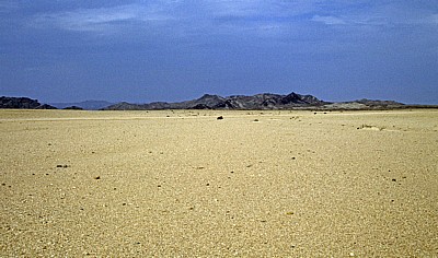 Welwitschia Drive - Namib