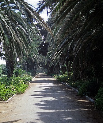 Arnold Schad Promenade: Fußweg - Swakopmund