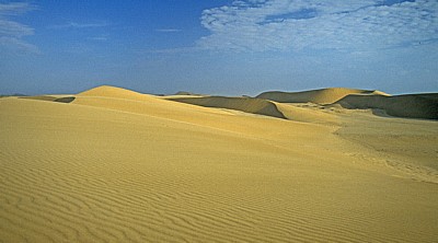 Dünenlandschaft - Namib