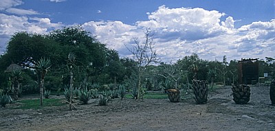 Eingangsbereich zum Otjikotosee - Oshikoto