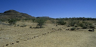 Versteinerter Wald - Khorixas