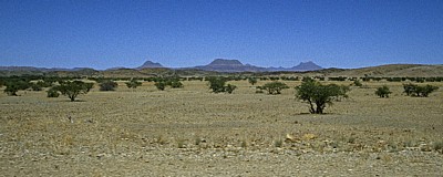 Auf dem Weg nach Twyfelfontein: Savanne - Erongo