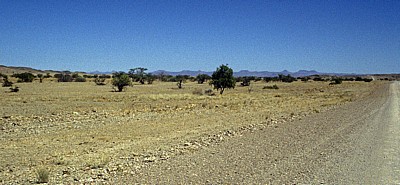 Auf dem Weg nach Twyfelfontein: Savanne - Erongo