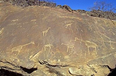 Felsgravuren - Twyfelfontein