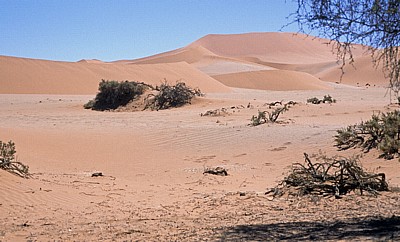 Draa-Dünen - Sossusvlei