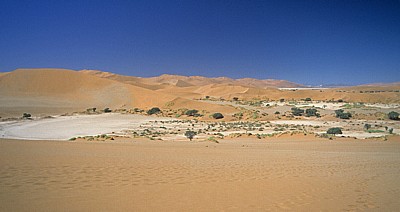 Blick auf die Salz-Ton-Pfanne - Sossusvlei