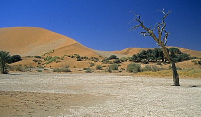 Draa-Düne - Sossusvlei