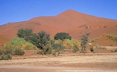 Draa-Düne - Sossusvlei