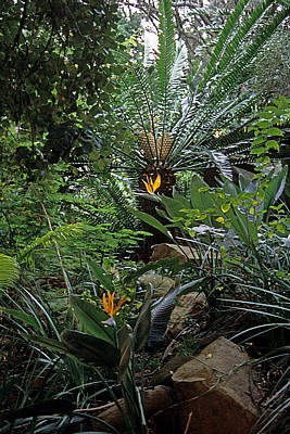 Union Buildings: Gärten  - Pretoria