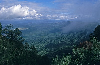 God's Window: Blick in das 700 Meter tiefer liegende Lowfeld - Blyde River Canyon Nature Reserve