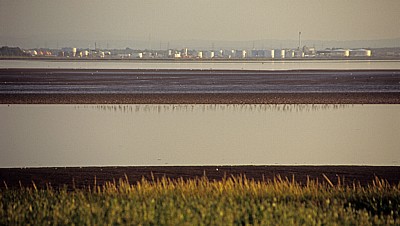 Vögel am River Mersey - Hale