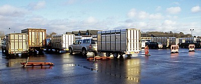 Derby Livestock Market: Parkplatz mit Viehtransportern - Derby