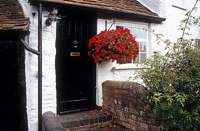 Haustür mit Geranien - Bearley
