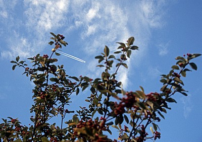Flugzeug mit Kondensstreifen am Himmel - Frankfurt/Main