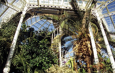Sefton Park: Palm House (Palmenhaus) - Innenansicht - Liverpool