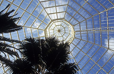 Sefton Park: Palm House (Palmenhaus) - Blick durch das Dach - Liverpool